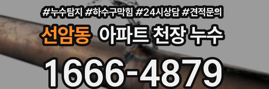선암동 아파트 천장 누수