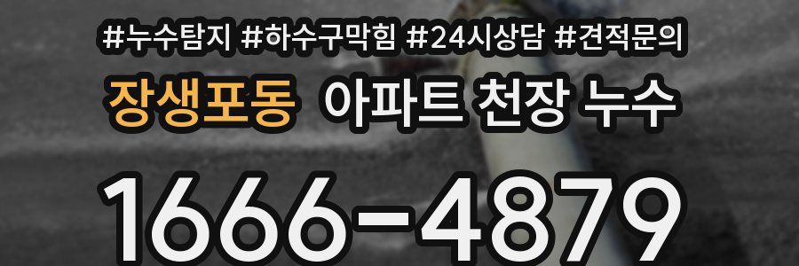 장생포동 아파트 천장 누수