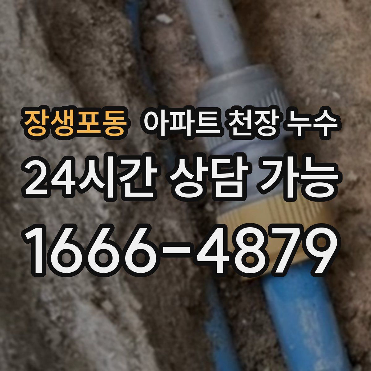 장생포동 아파트 천장 누수