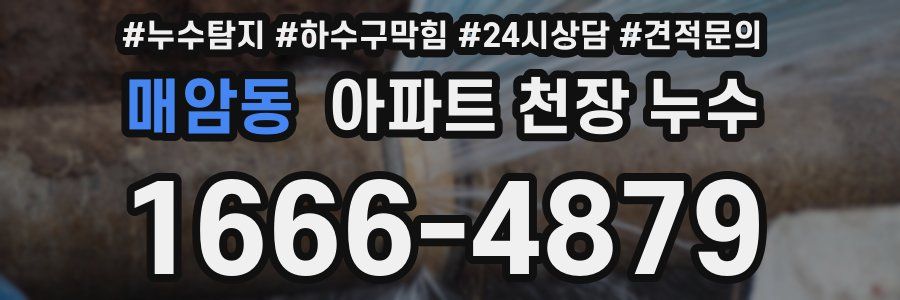 매암동 아파트 천장 누수