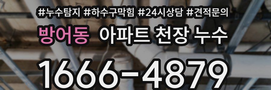 방어동 아파트 천장 누수