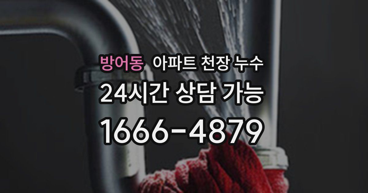 방어동 아파트 천장 누수
