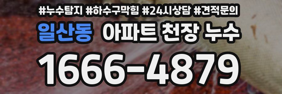 일산동 아파트 천장 누수