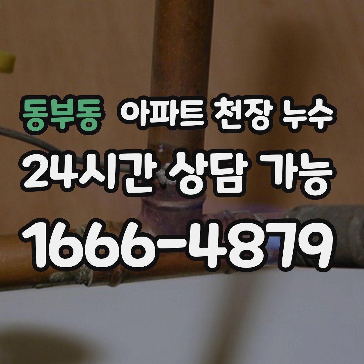 동부동 아파트 천장 누수