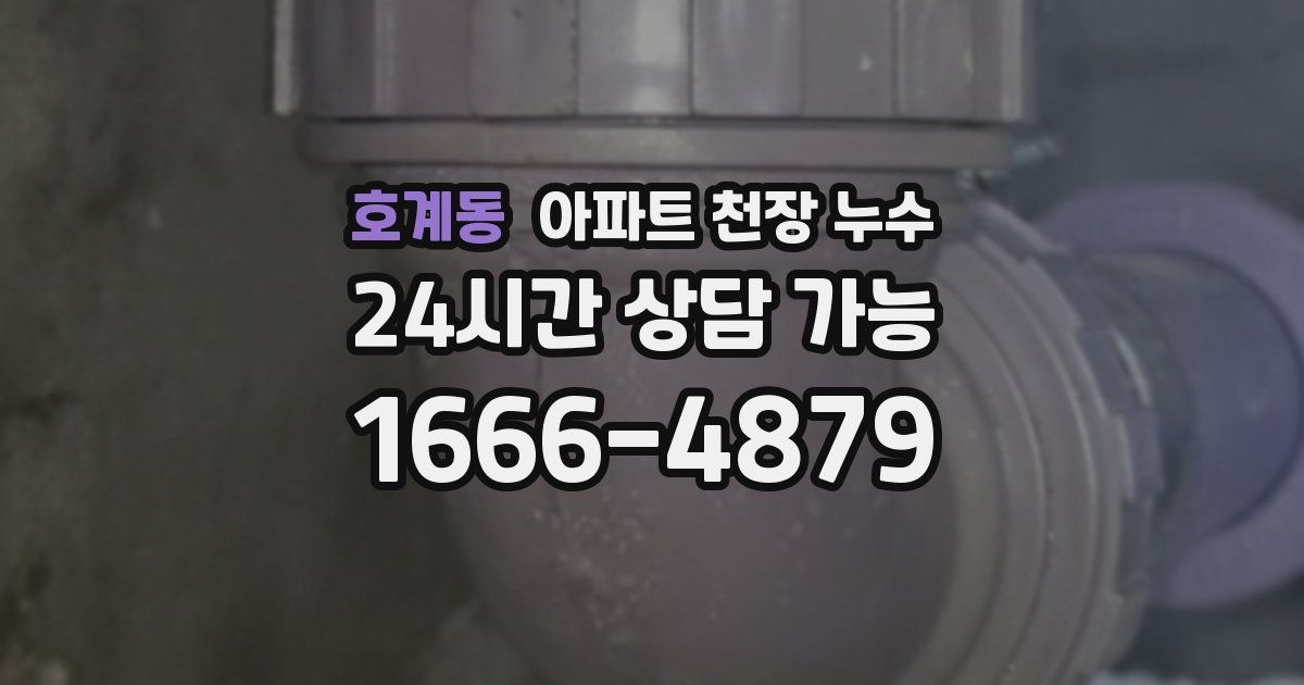 호계동 아파트 천장 누수