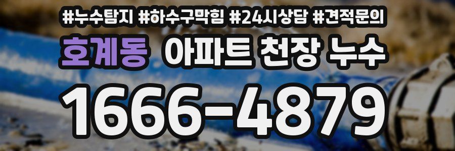 호계동 아파트 천장 누수
