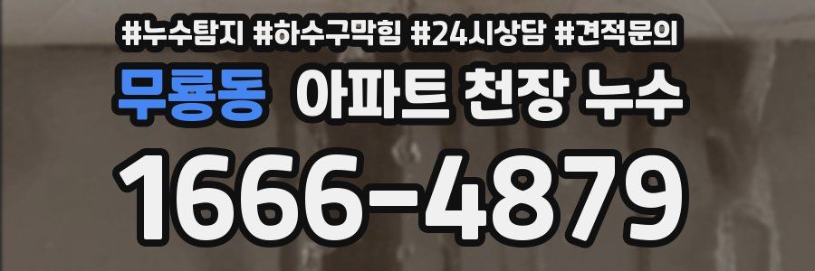 무룡동 아파트 천장 누수