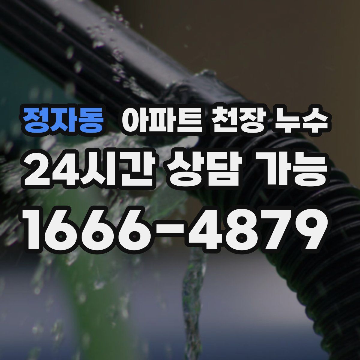 정자동 아파트 천장 누수