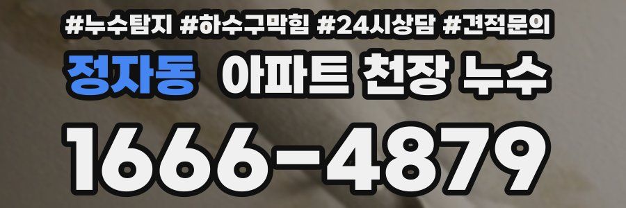 정자동 아파트 천장 누수