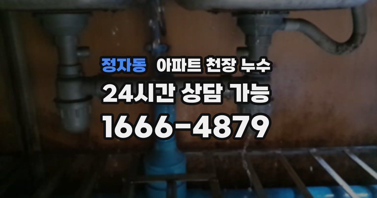 정자동 아파트 천장 누수