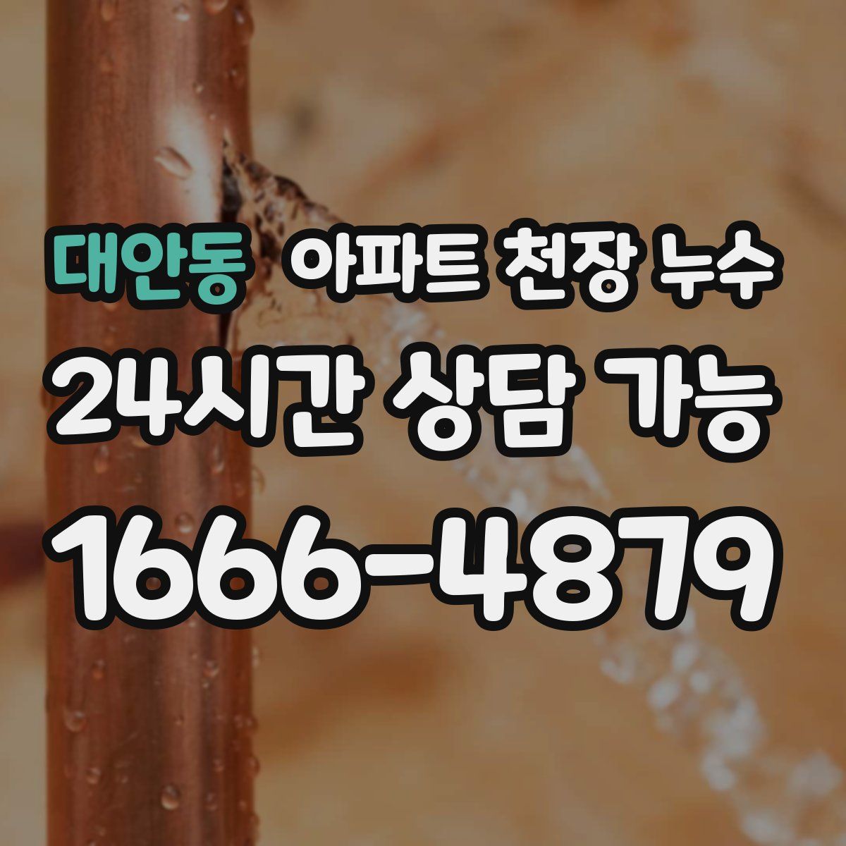 대안동 아파트 천장 누수