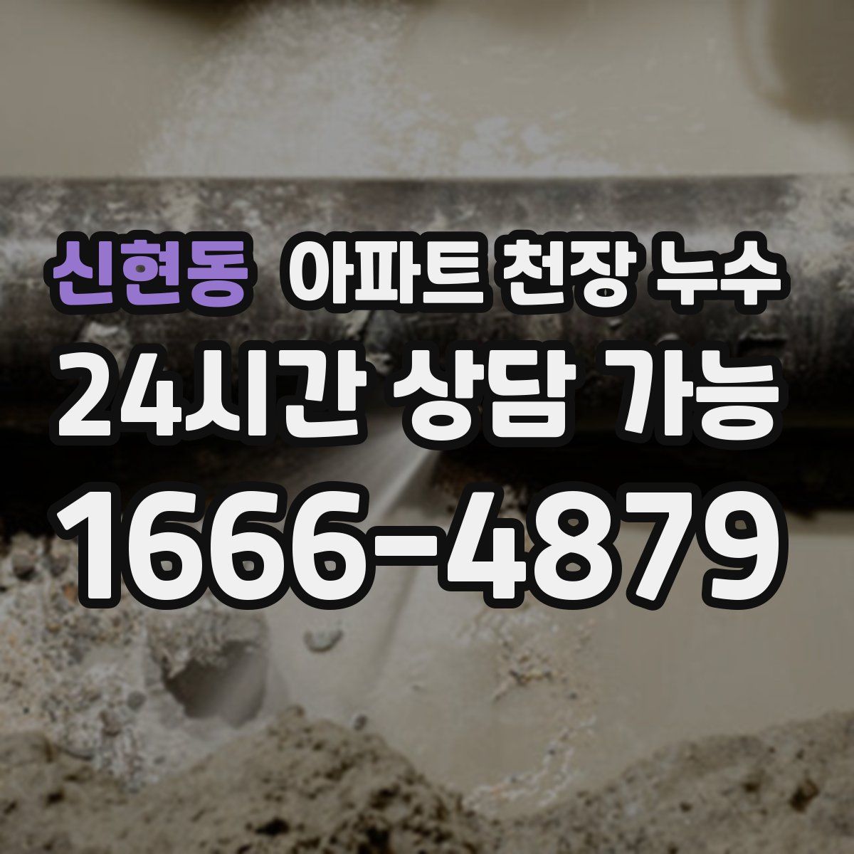 신현동 아파트 천장 누수