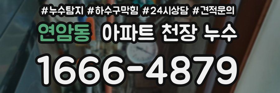 연암동 아파트 천장 누수