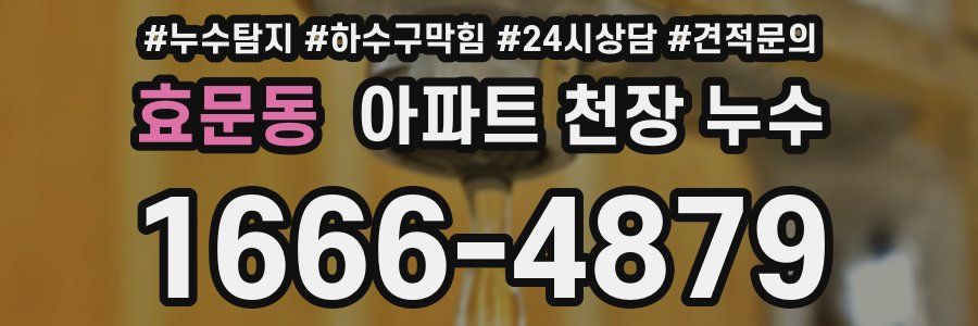 효문동 아파트 천장 누수