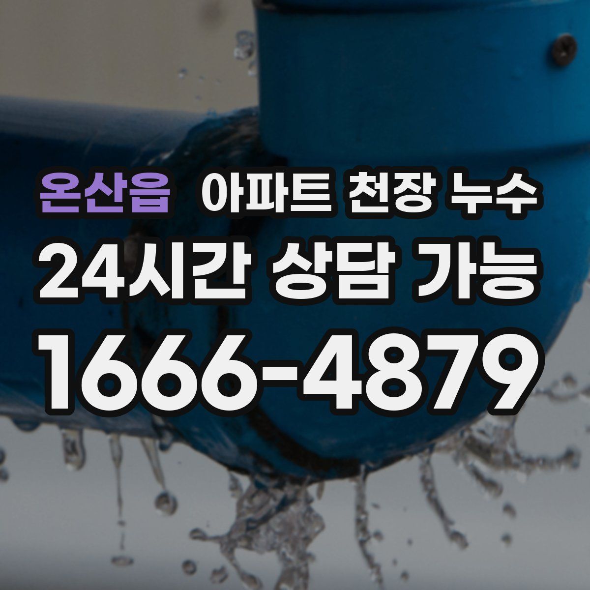 온산읍 아파트 천장 누수