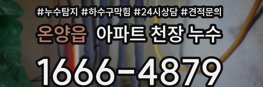 온양읍 아파트 천장 누수