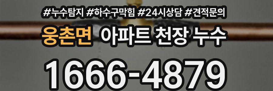 웅촌면 아파트 천장 누수