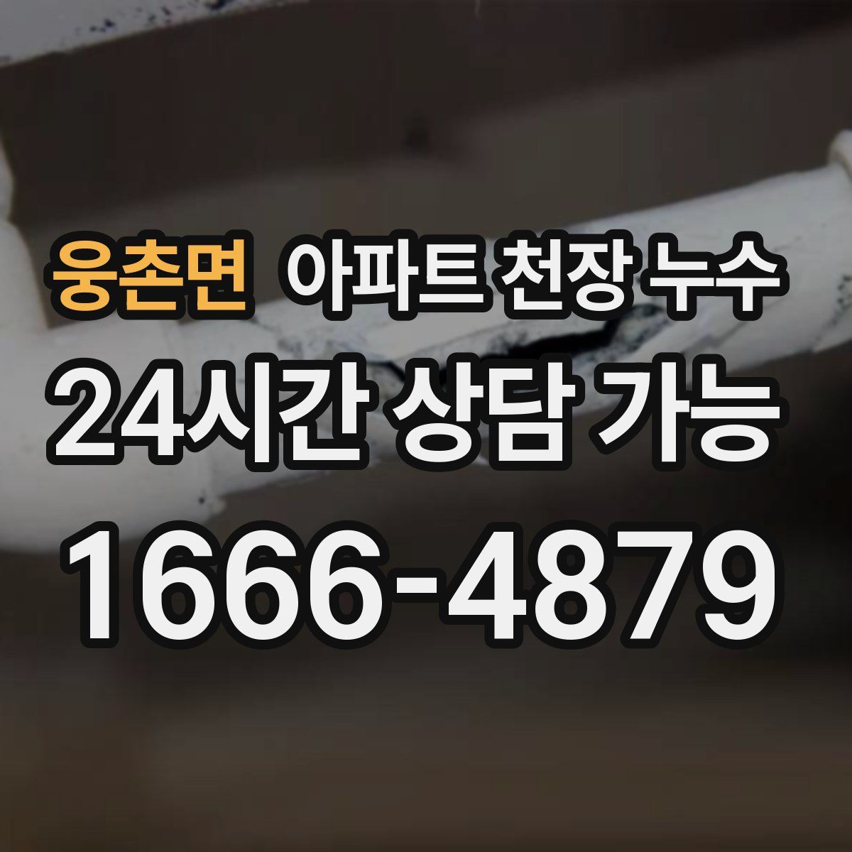 웅촌면 아파트 천장 누수