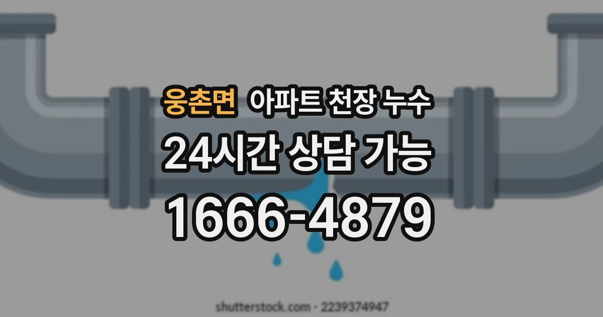 웅촌면 아파트 천장 누수