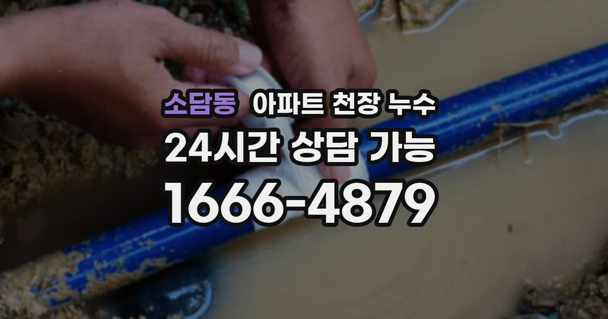 소담동 아파트 천장 누수