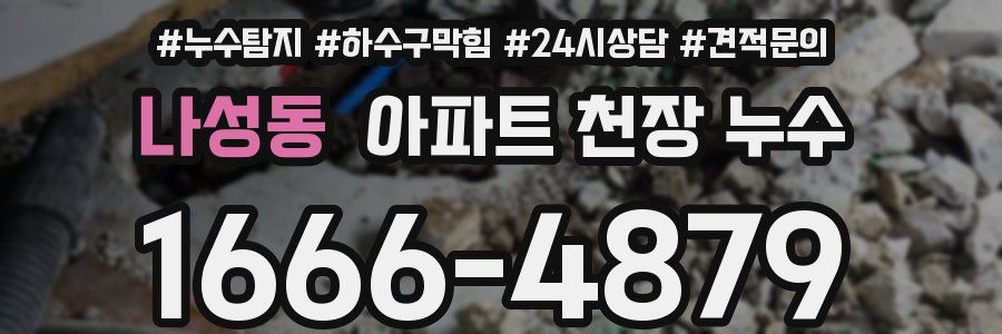 나성동 아파트 천장 누수
