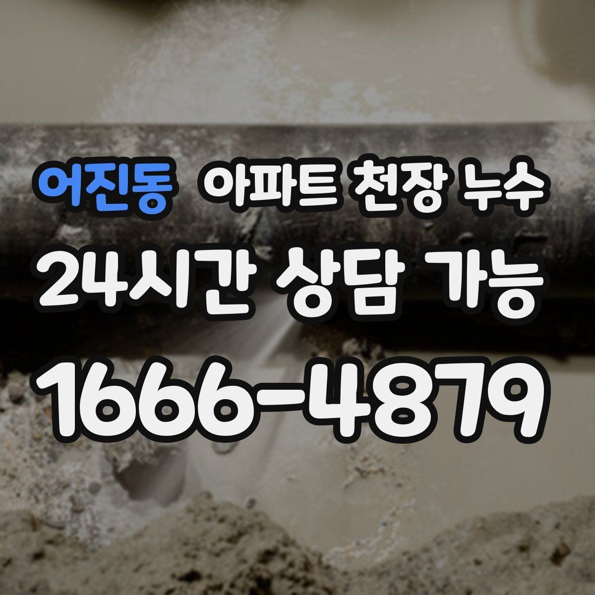 어진동 아파트 천장 누수