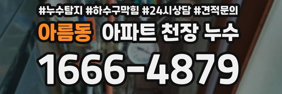 아름동 아파트 천장 누수