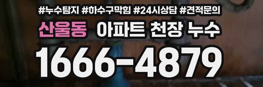 산울동 아파트 천장 누수