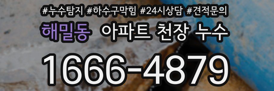 해밀동 아파트 천장 누수
