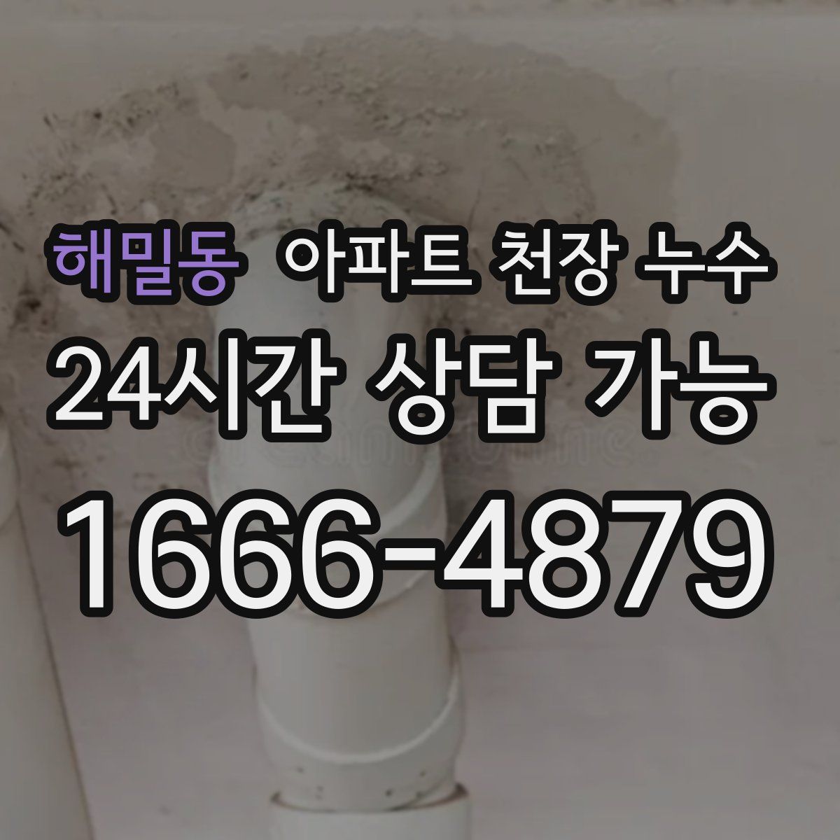해밀동 아파트 천장 누수