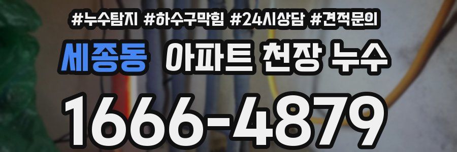 세종동 아파트 천장 누수
