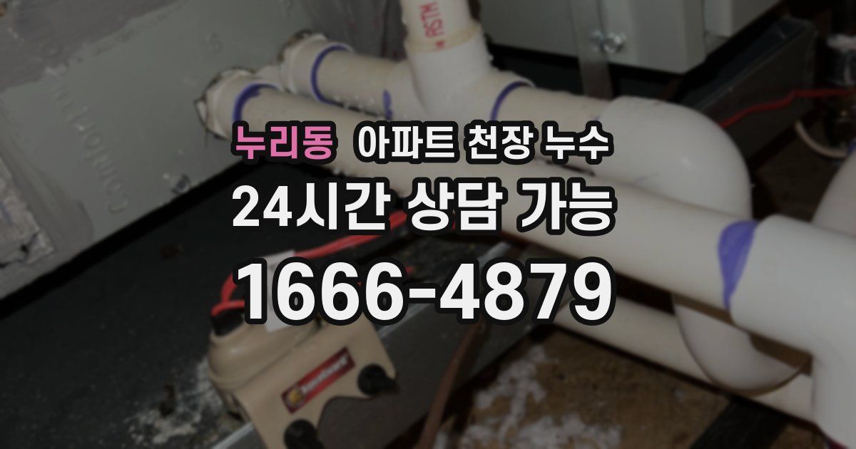 누리동 아파트 천장 누수