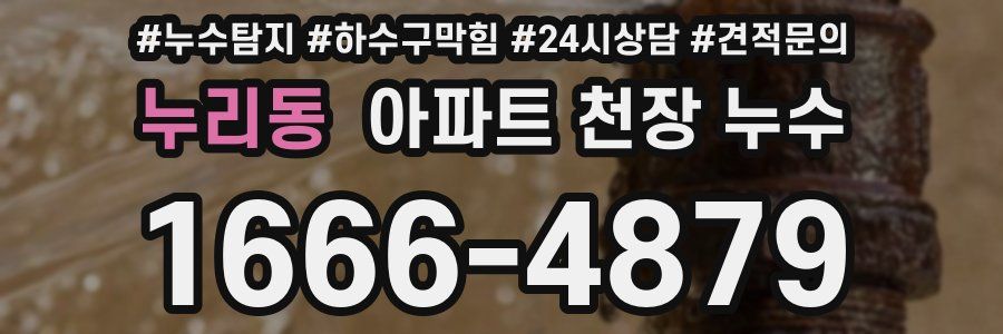 누리동 아파트 천장 누수