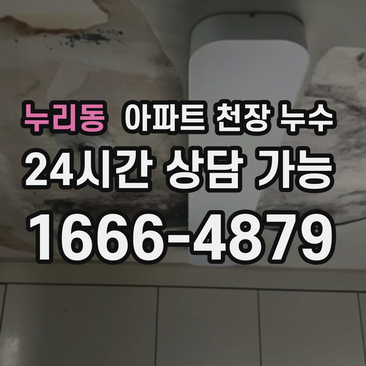 누리동 아파트 천장 누수