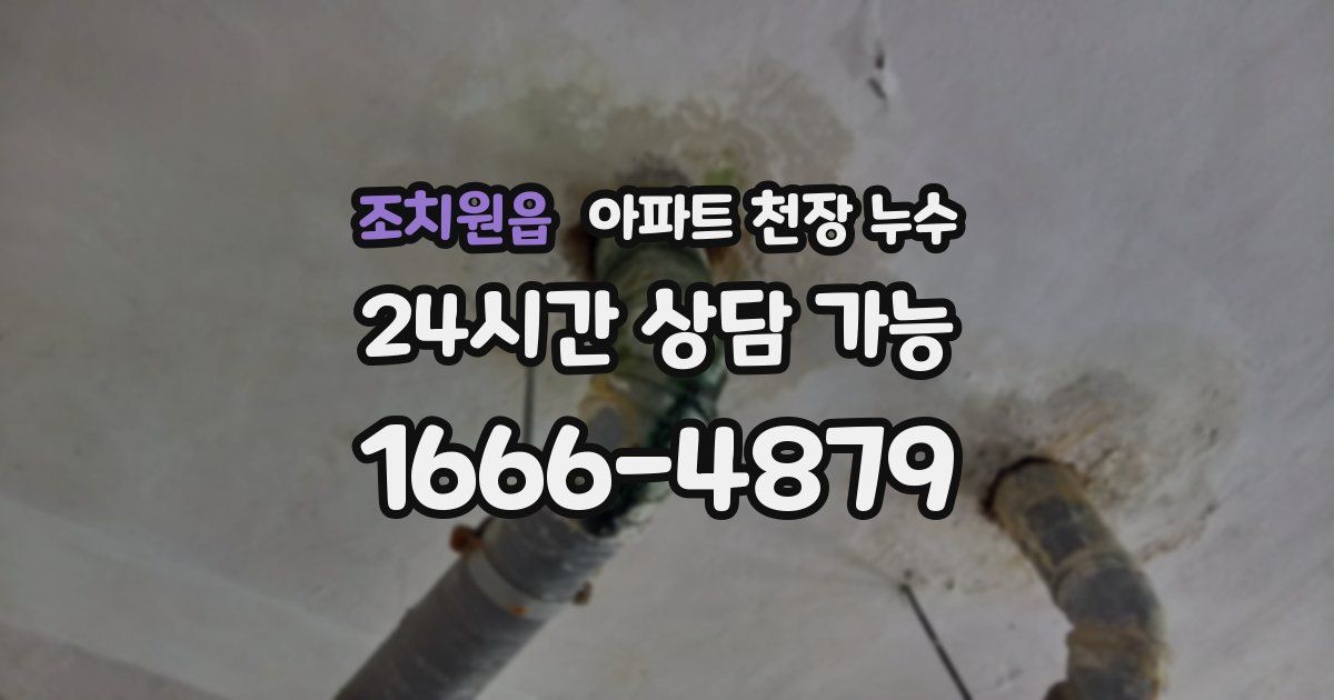 조치원읍 아파트 천장 누수