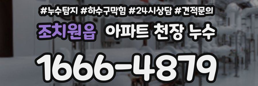 조치원읍 아파트 천장 누수