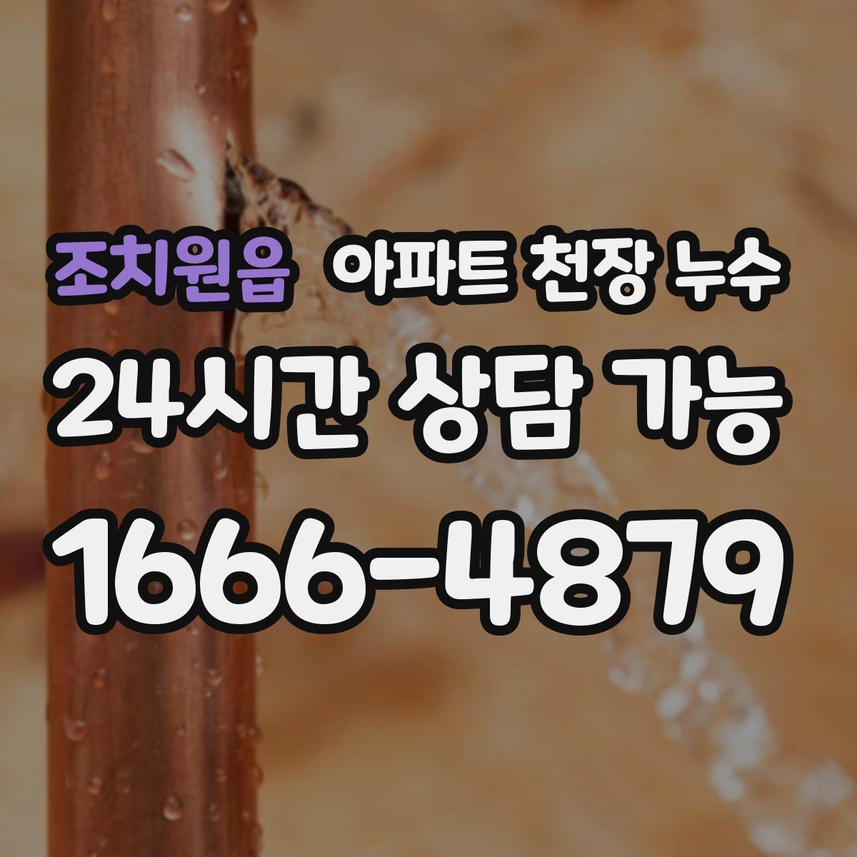 조치원읍 아파트 천장 누수