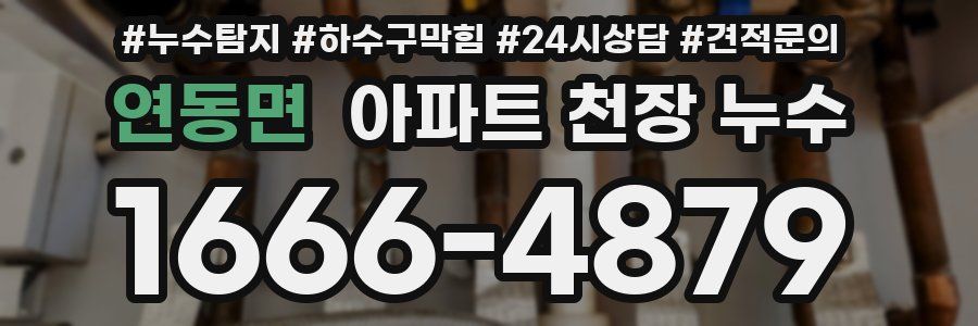 연동면 아파트 천장 누수