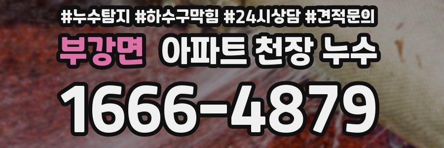 부강면 아파트 천장 누수