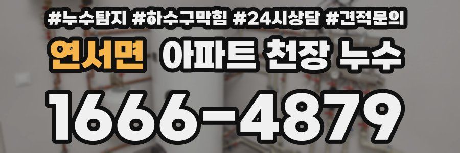 연서면 아파트 천장 누수