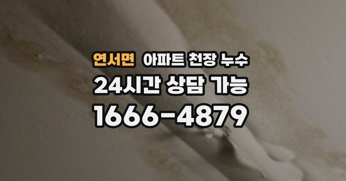 연서면 아파트 천장 누수