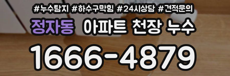 정자동 아파트 천장 누수