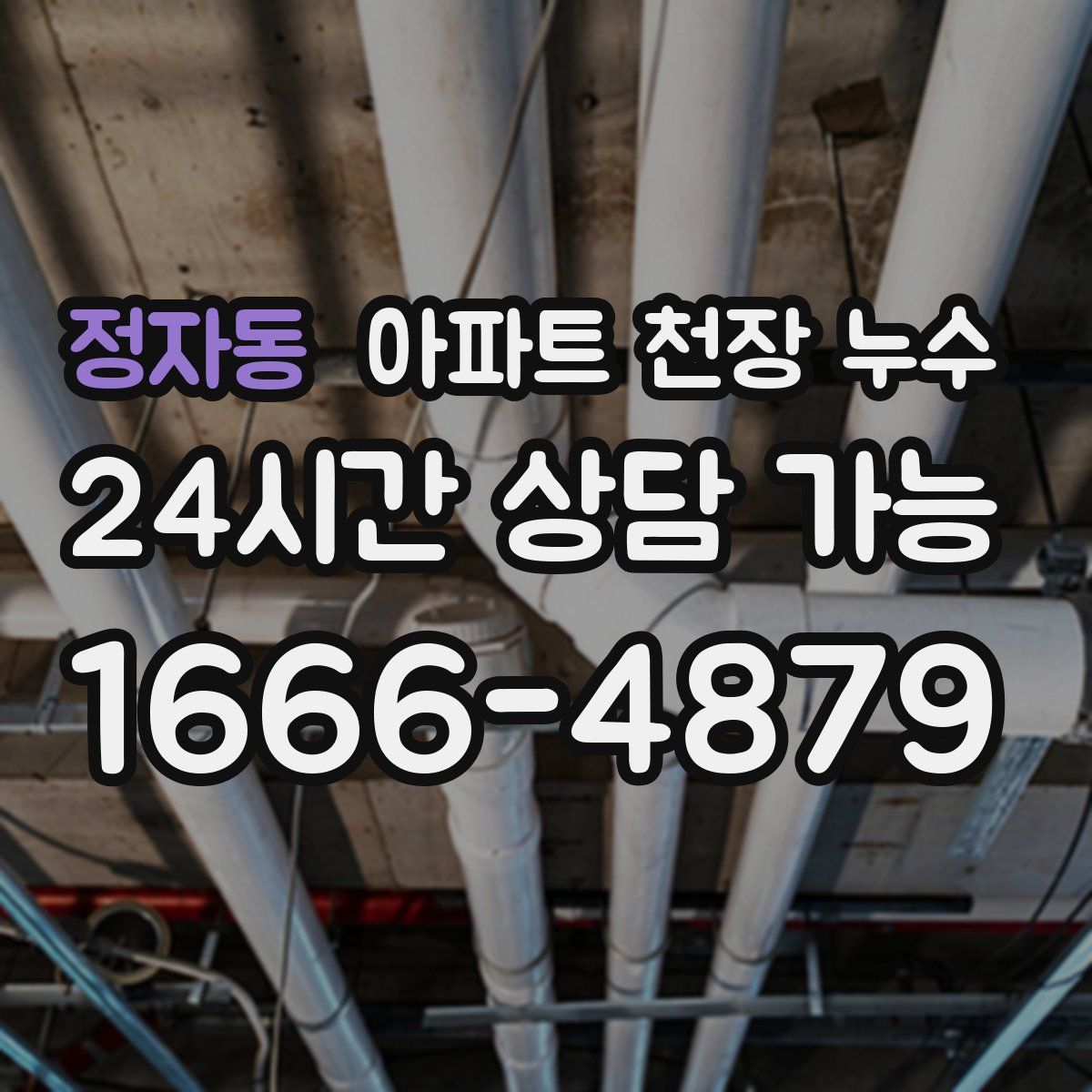 정자동 아파트 천장 누수