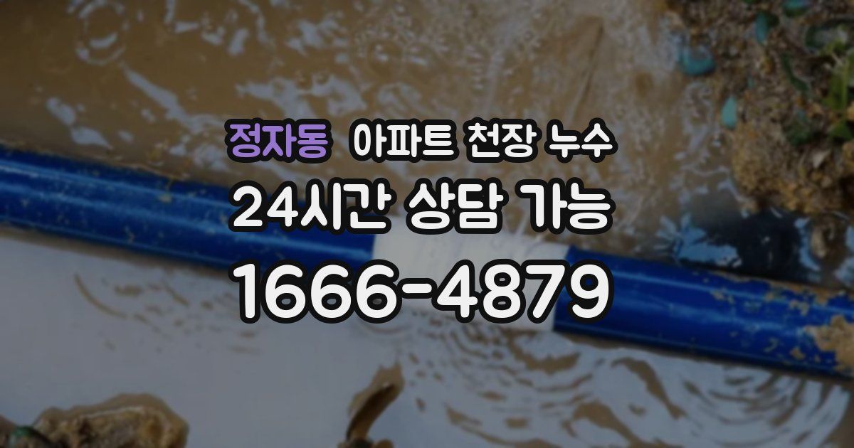 정자동 아파트 천장 누수