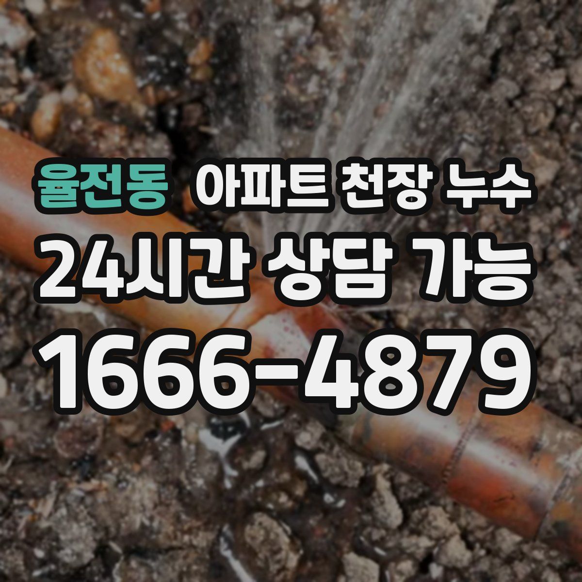 율전동 아파트 천장 누수