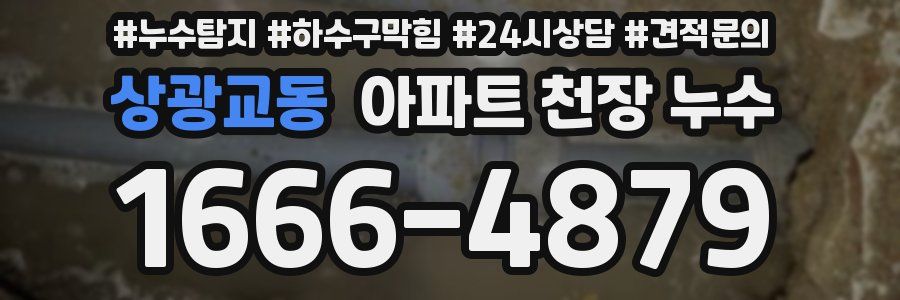 상광교동 아파트 천장 누수