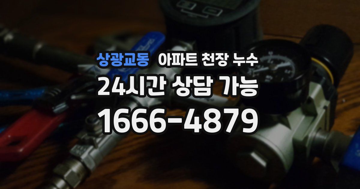 상광교동 아파트 천장 누수