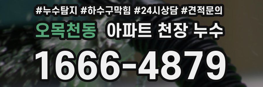 오목천동 아파트 천장 누수