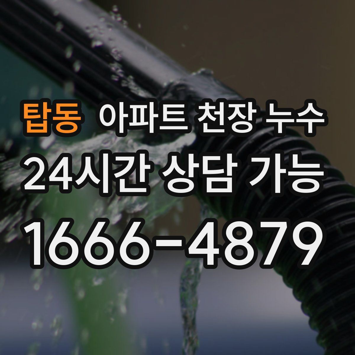 탑동 아파트 천장 누수