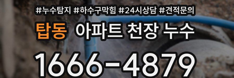 탑동 아파트 천장 누수